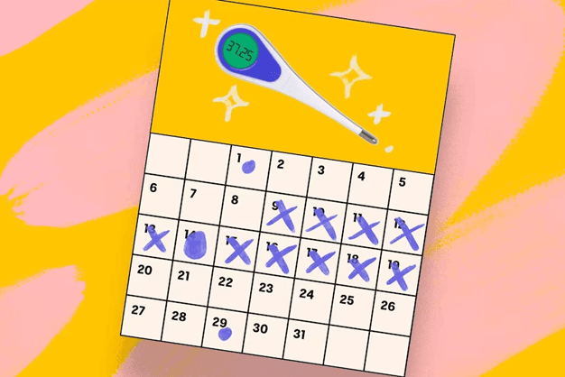 Fertility_Awareness_Understanding_the_Menstrual_Cycle_for_Family_Planning.png