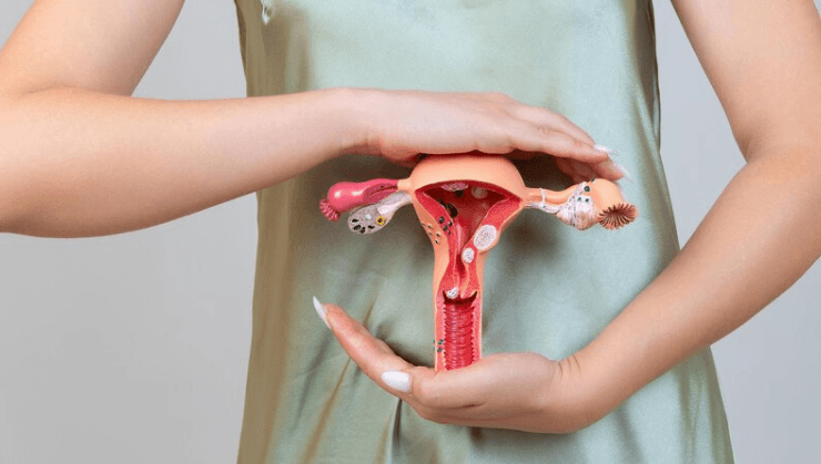 VAGINAL_HEALTH.png